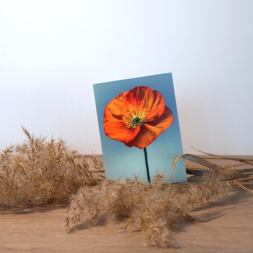 Proud Poppy Greeting Card - Flowers by Annette